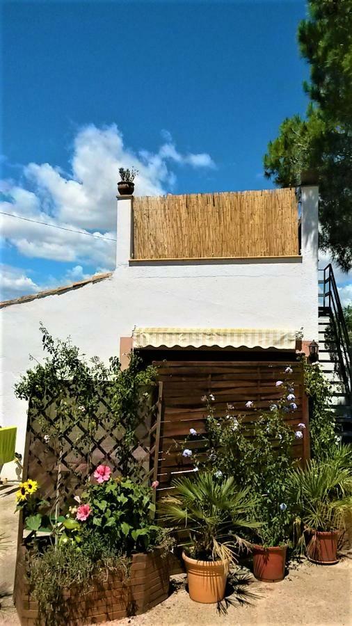 La Casita Villa Manacor  Buitenkant foto